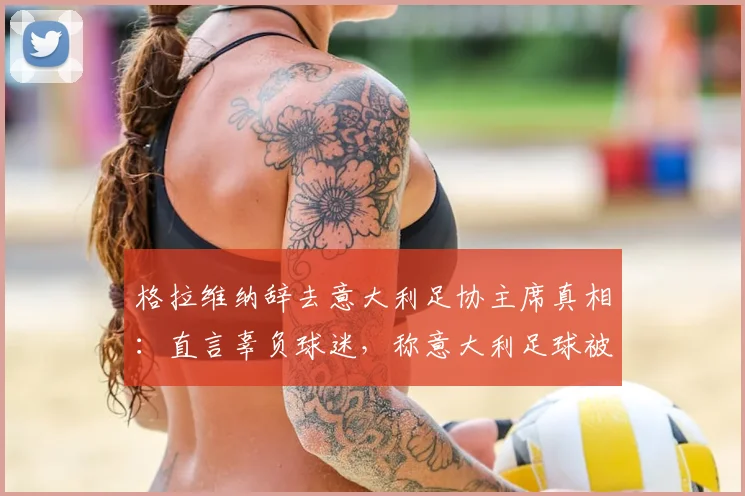 格拉维纳辞去意大利足协主席真相：直言辜负球迷，称意大利足球被低级野蛮主导
