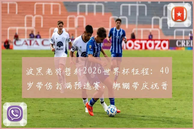 波黑老将哲科2026世界杯征程：40岁带伤打满预选赛，绑绷带庆祝晋级引热议，附伤势最新情况与职业生涯回顾