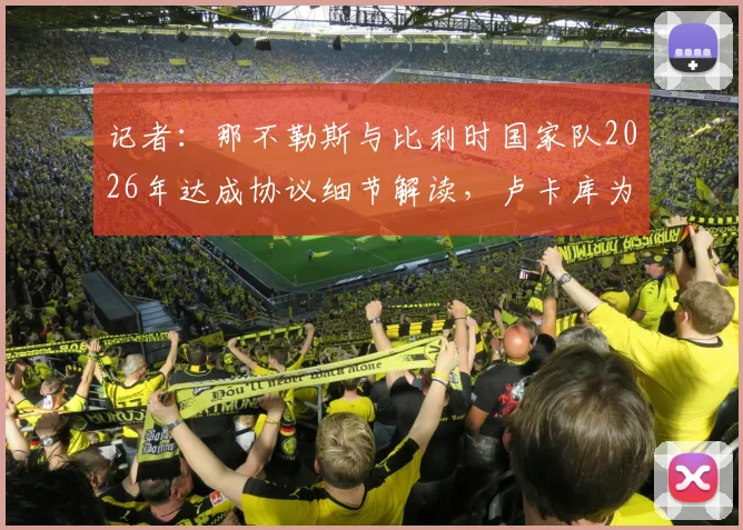 记者：那不勒斯与比利时国家队2026年达成协议细节解读，卢卡库为何坚持在比利时康复