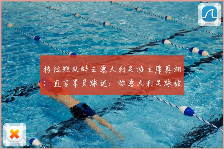 格拉维纳辞去意大利足协主席真相:直言辜负球迷,称意大利足球被低级野蛮主导